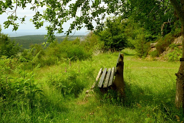 他們以一次 他們以一次